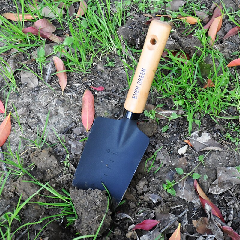 Acier au carbone forgin manche en bois antidérapant pelle épaissie pour assurer la plantation de longue durée