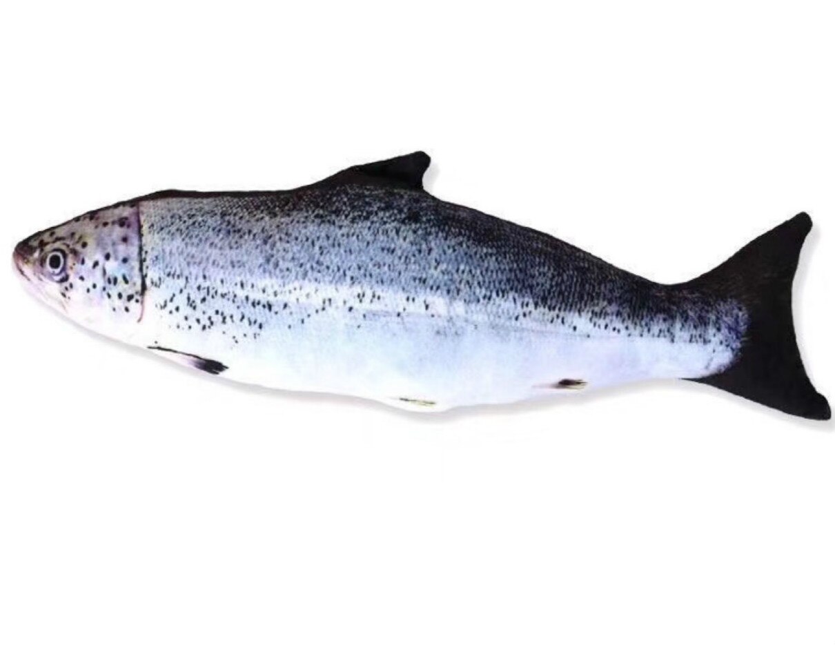 2 stuks/partij elektrisch vis katten speelgoed 11 " grappig interactief huisdier kussen kauwen bijten trap benodigdheden kattenkruid speelgoed perfect voor meerval flop: Blauw