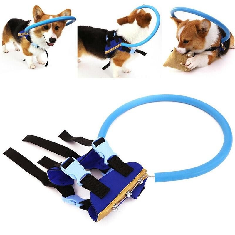 Practical Upgraged Blind Dog Harness Vest Blind Dogs with Eyes Prevent Protective For Dogs Vest Collision Pet Sick Ring W5G8