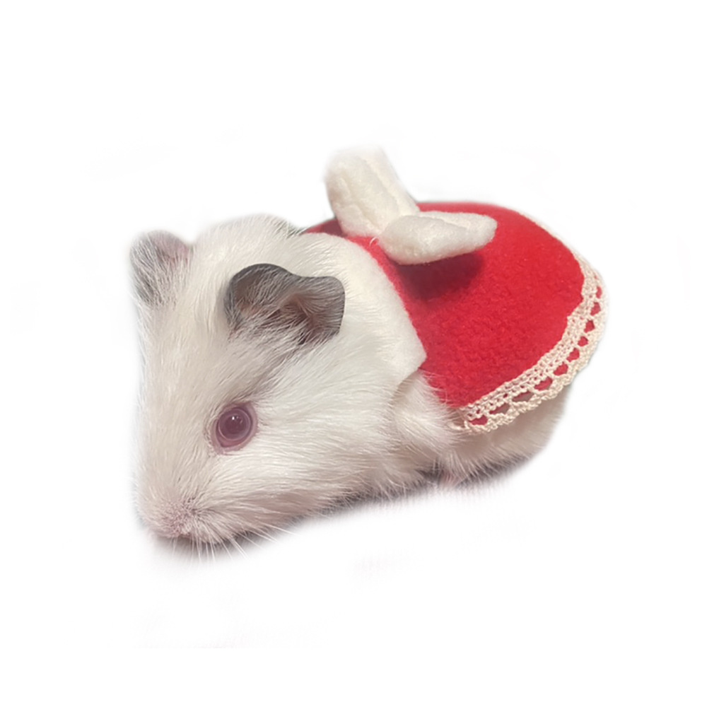 Vêtements multicolores pour Hamster et lapin, tenue mignonne avec nœud papillon, petit écureuil, mon voisin, Totoro, petit animal de compagnie, fournitures