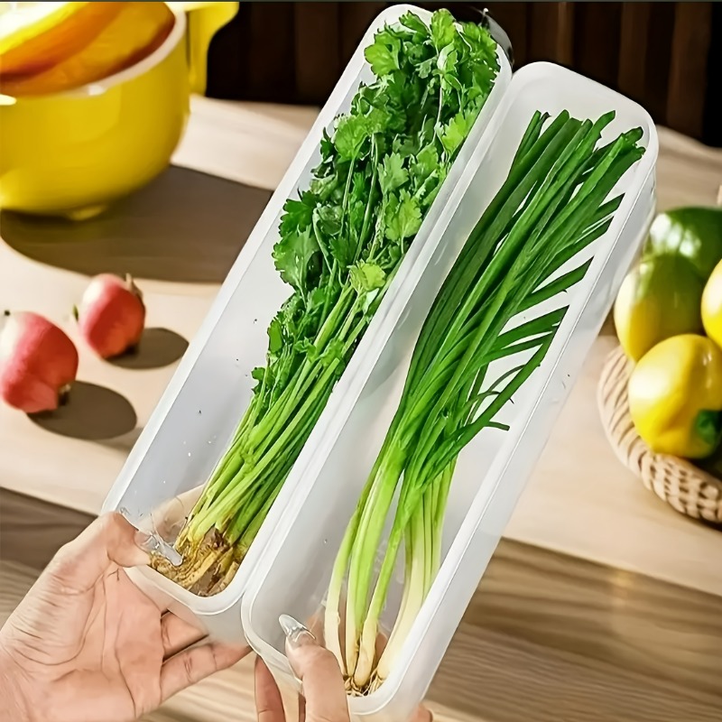 2/4pcs Long Rectangular Food Storage Containers, Plastic Reusable Refrigerator Organizer Boxes for Herbs, Vegetables: Burgundy