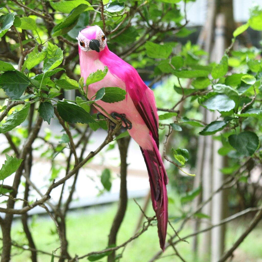 Tro naturen ara papegøje ornament kunstig fjerret fugl model – Grandado