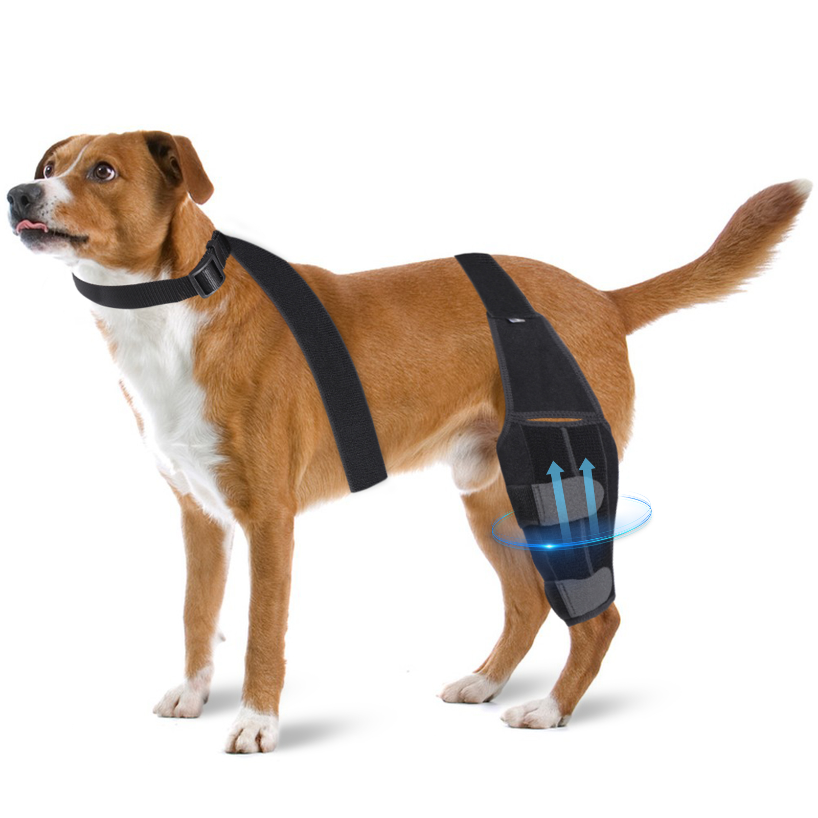 Huisdier Hond Verbanden Hond Blessure Been Knie Brace Bandbescherming Voor Honden Gewrichtsverband Wrap Doggy Medische Benodigdheden Honden Accessoires