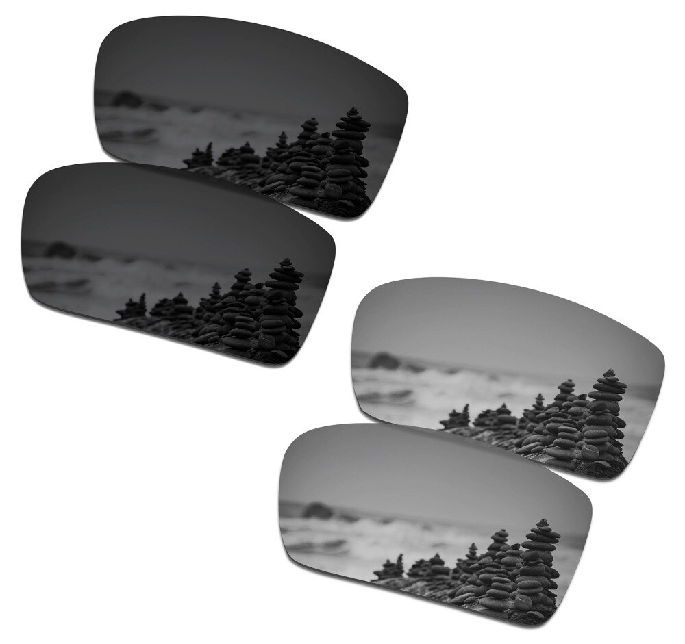 SmartVLT 2 Pairs Gepolariseerde Zonnebril Vervanging Lenzen voor Oakley Gascan Stealth Zwart en Zilver Titanium