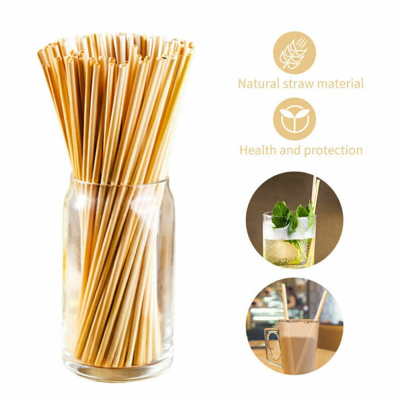 100pcs Portable Drinking Straws Biodegradable Stra... – Grandado