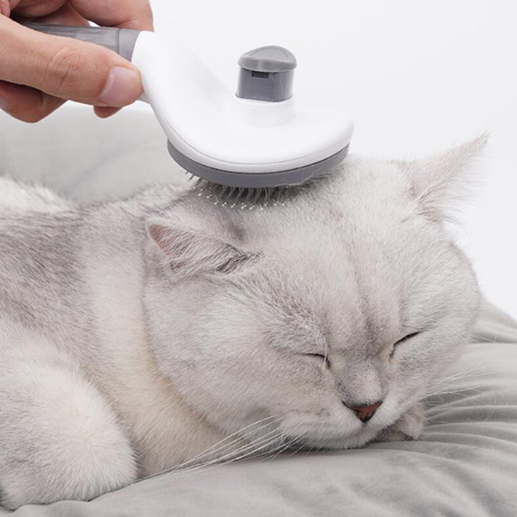 Picture Idea: Pet Comb Removes Fleas From Fur Comfortable Massag