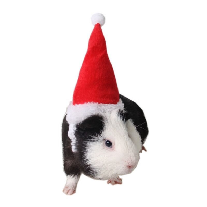 Pet Christmas Hat Outfit - Red Santa Hat For Small Animals Like Rabbits, Hamsters, Guinea Pigs, Kittens