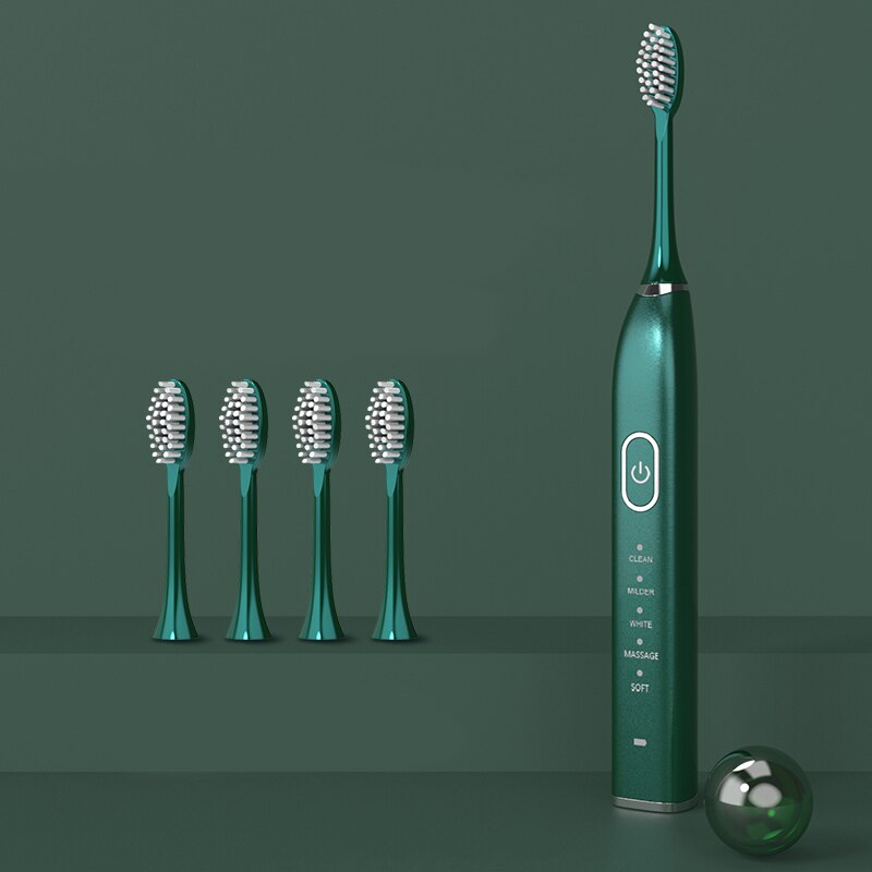Ultrasonic Sonic Electric Toothbrush Powerful Tooth Brush USB Rechargeable Adult Electronic Washable Whitening Teeth Brush: 10 gears 4 heads G