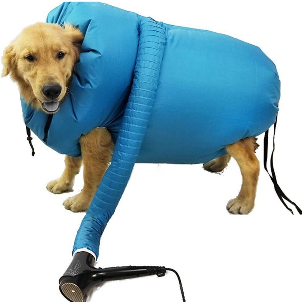 Asciugacapelli per cani da compagnia portatile veloce facile soffiatore strumento professionale capelli per animali domestici a basso rumore soffice per cani asciugacapelli soffio e lanugine asciugacapelli: M