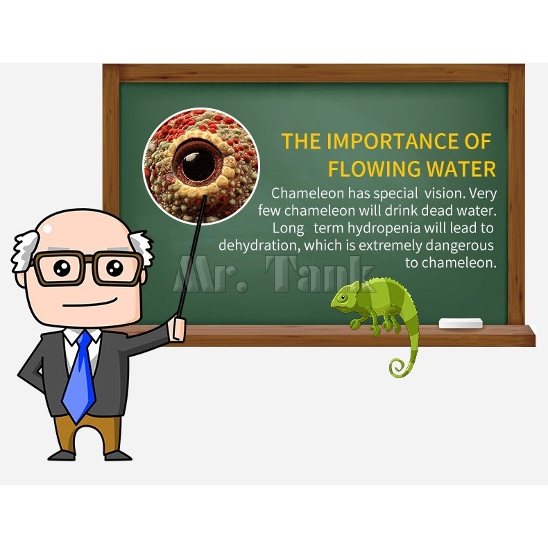 Mr.Tank Reptile Drinking Water Fountain Lizard Feeding Chameleon Filter