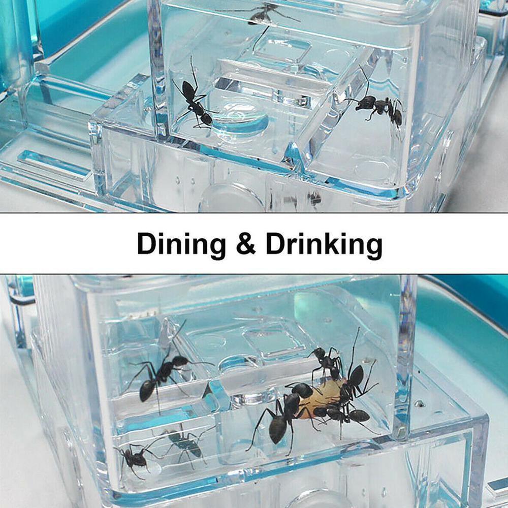 Large Acrylic Ant Farm with Feeding Area Big Ants House Ant Nest Villa Insect Pet Anthill Workshop 6 Layers 19.5*15*22cm