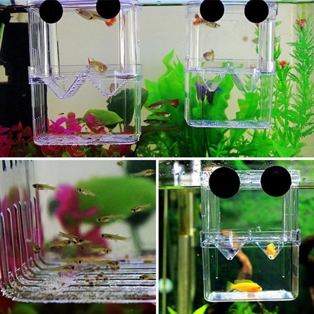 Double-Deck Clear Fish Breeding Isolation Box Aquarium Breeder Fish Tank Hatching Incubator Fish House Home