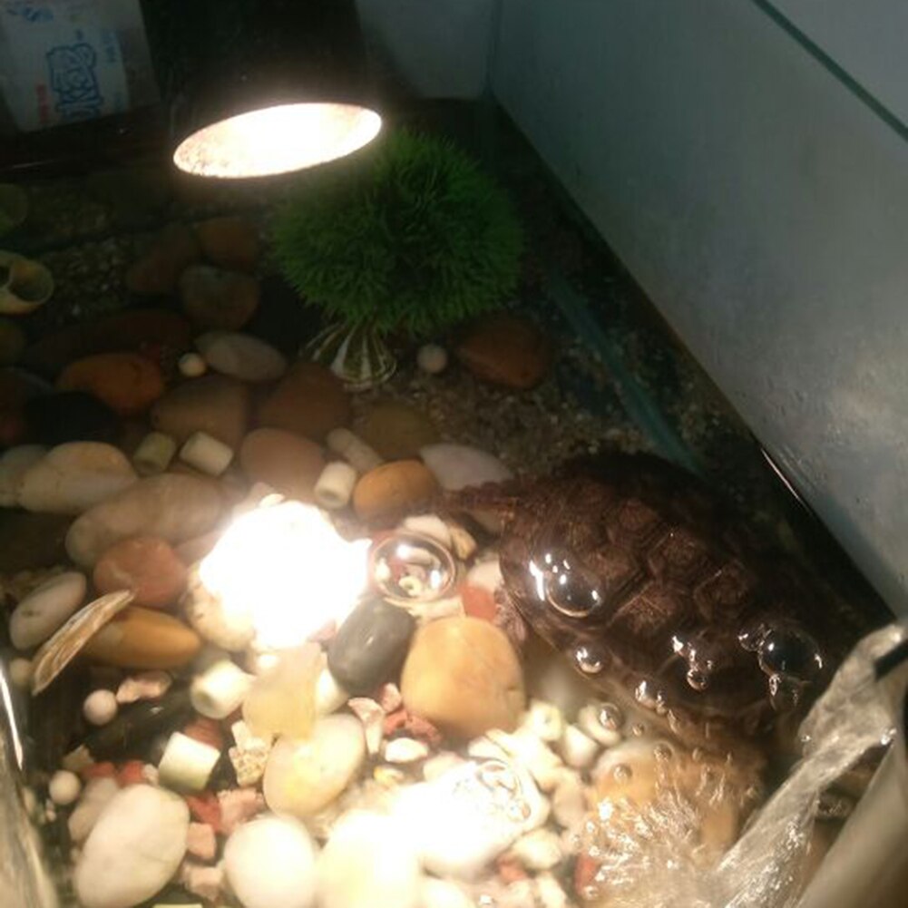 25/50w krybdyr lampe skildpadde skildpadde kæledyr soler sig uv-pærer varmelampe padder temperaturkontrol