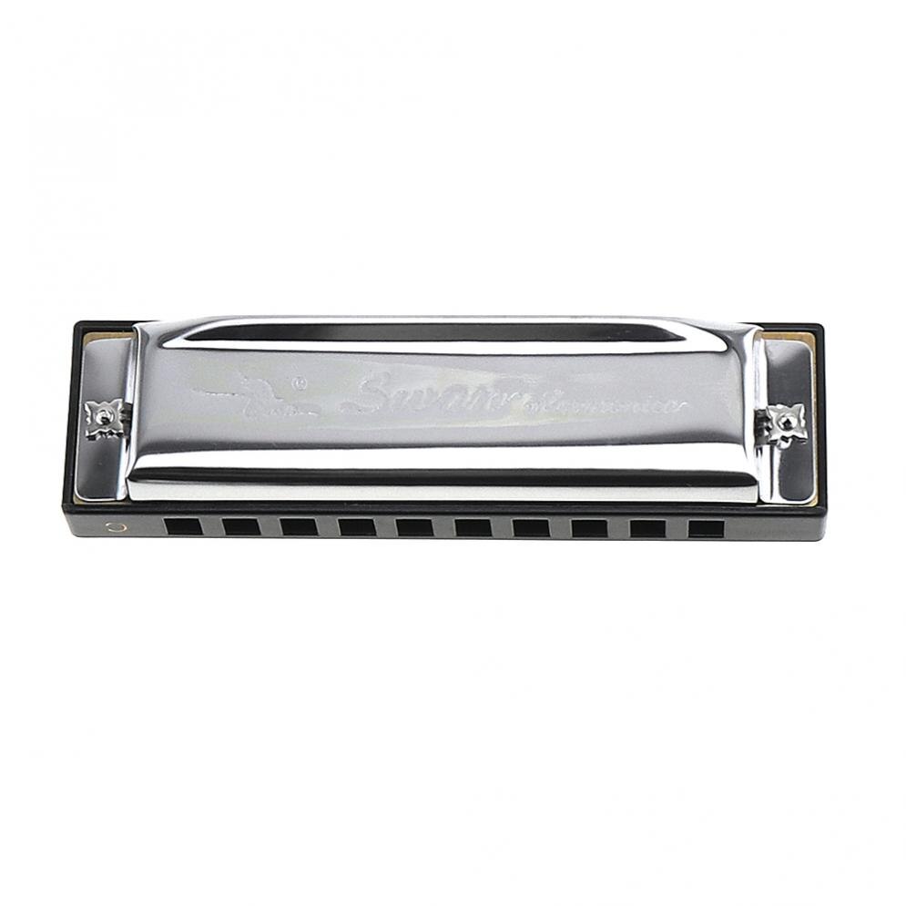Harmonica diatonique en argent 10 trous 12 tons, instruments de musique en acier inoxydable pour débutant