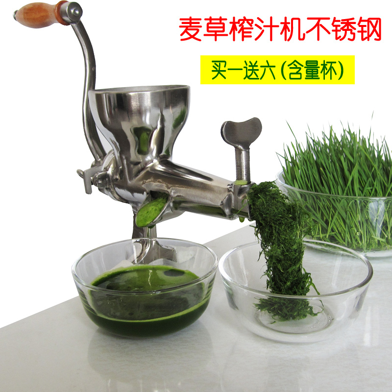 304 Stainless Steel Wheatgrass Juicer Wheatgrass-Juicer Vegetable Machine Fruit And Vegetable Juice Extractor
