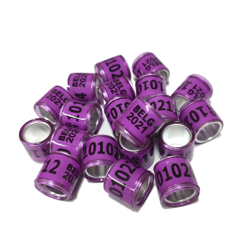 20Pcs Training Duif Voetring Plastic & Aluminium Vogel Been Bands Voor Chicks Bantam Vink Duif Dwergpapegaai Kwartel Kleine gevogelte 8Mm: Purple Belgium