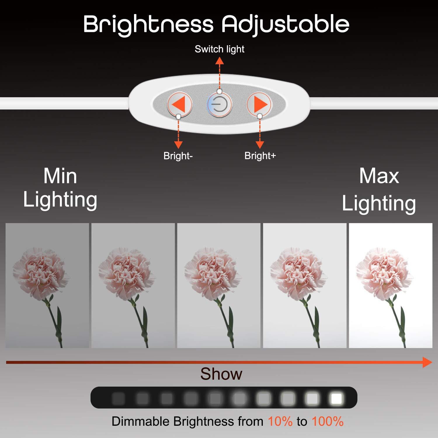 Tragbare Falten Leuchtkasten 40*40 Fotografie Foto Studio Softbox Einstellbare Helligkeit Licht Kasten W/ 6 Farbe Hintergrund 2 LED licht