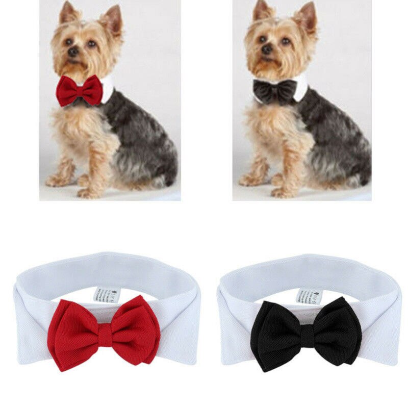 Corbata para mascotas ajustable con lazo para cachorro, gatito, perros, lazo para gato, ropa para mascotas, perro, gato, de Navidad