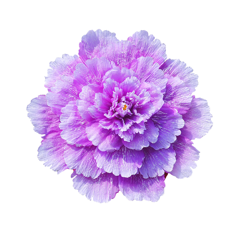 Peony Umbrella Large Dance evening Handflower props Stage performance Games Opening Ceremony Dance props large peonies The Kid: L / PURPLE