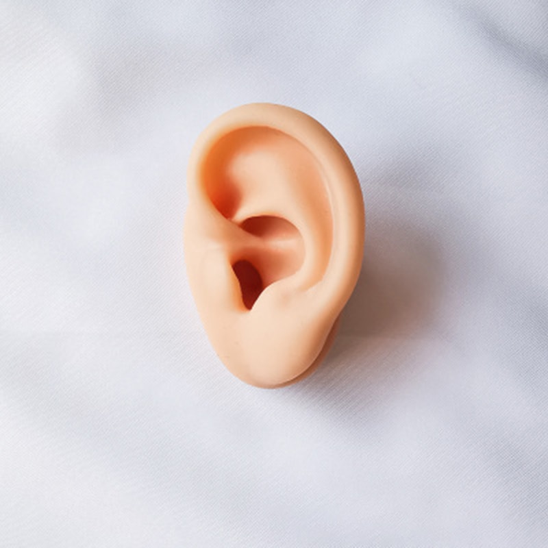Silicone oreille modèle artificiel oreille humaine affichage pour l'audition écouteurs pratique Piercing boutique fenêtre montrant des bijoux de corps