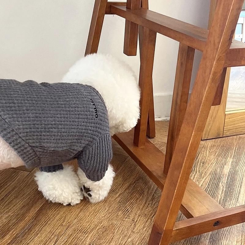 Thin Dog Clothes Solid Pet Dog Hoodies Kitten Puppy Undershirts Chihuahua Clothing Yorkie Bichon Vest Dog Costume Shirt: XS / Yellow
