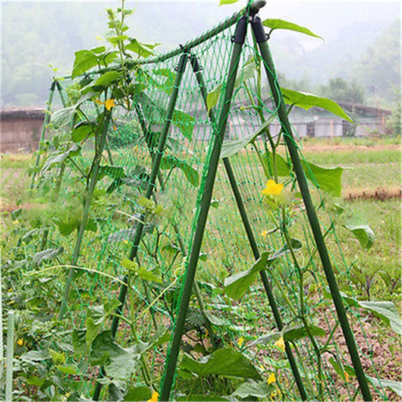 1.8x0.9m venda quente jardim verde náilon treliça rede suporte escalada feijão planta redes crescer cerca