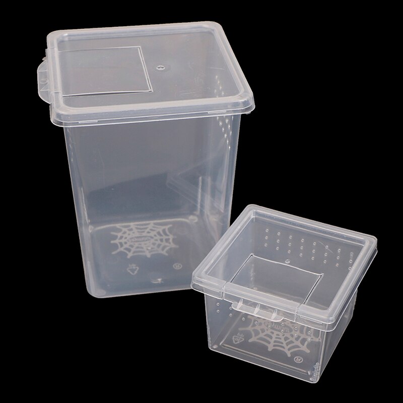 Plastic Insect Spider Habitat Feeding Box Case Container Tank Transport Case Hatching Tank !