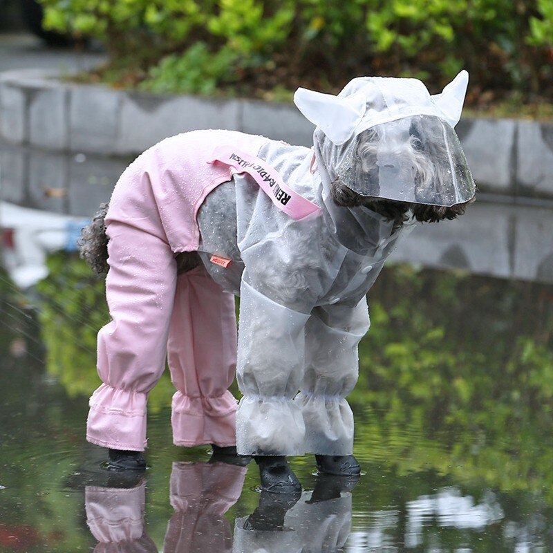 Kæledyrshund sød regnfrakke hvalp fire fods hættebeklædt gennemsigtig vandtæt bamsepuddel stor hund regntøj til dyr kæledyr: Ranincoat / S
