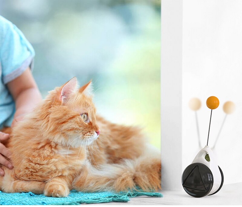 Intressanta leksaker balansgunga bil rolig katt leksak katt pedagogisk leksak katt rolig interaktiv leksak inomhus leksak med kattmynta boll