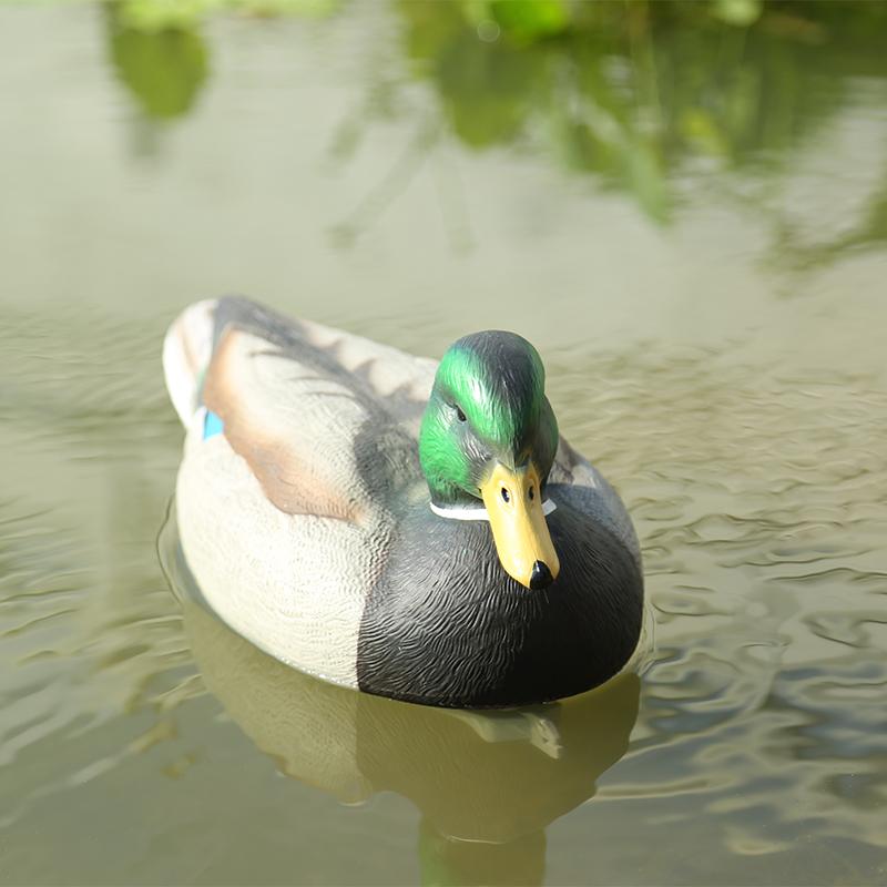 Señuelo de Pesca,