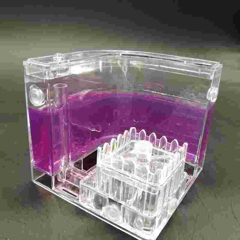 Authentic Ant farm Birthday pet villa Home queen ants workshop from mail Ant farm