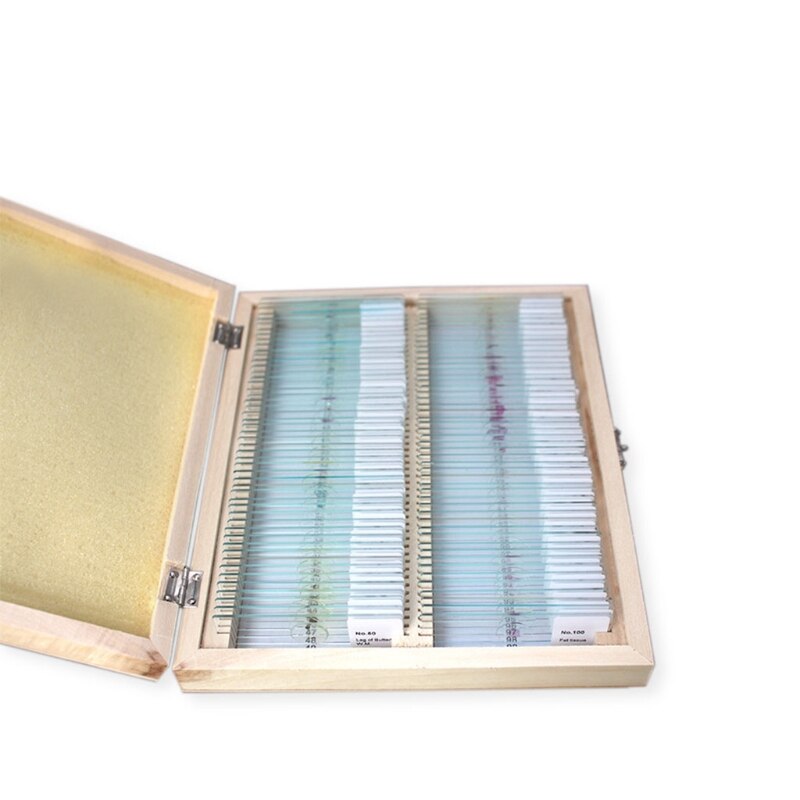 Prepared Microscope Slides Set for Kids Students Biological Science Education with Wooden Case