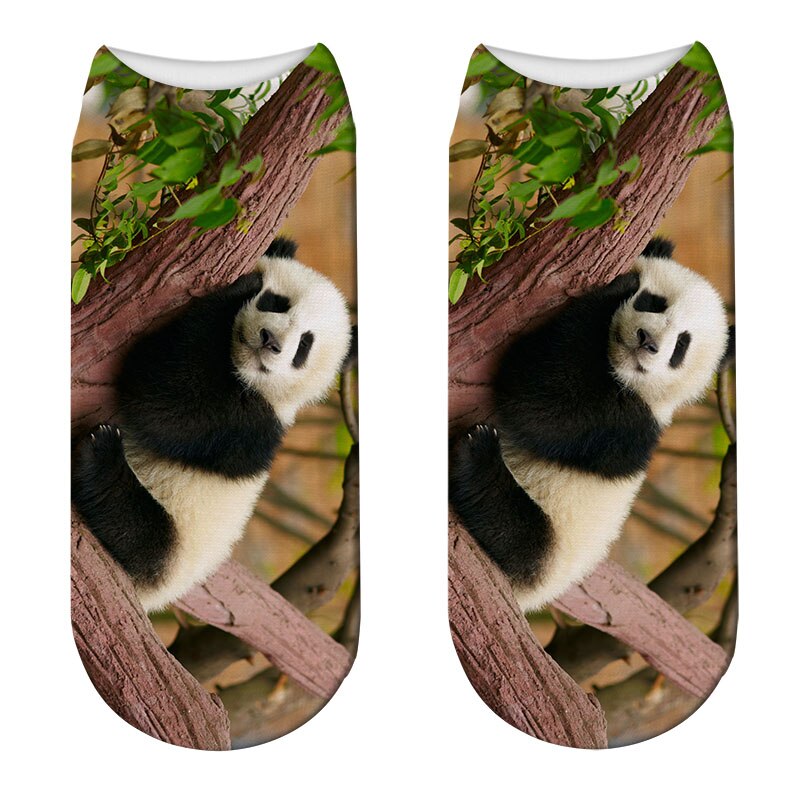 Casual, coole panda-patroon harajuku sokken voor dames, hipster, grappige katoenen korte sokken, vrouwelijke kunst, lage dunne sokken: Stijl 12