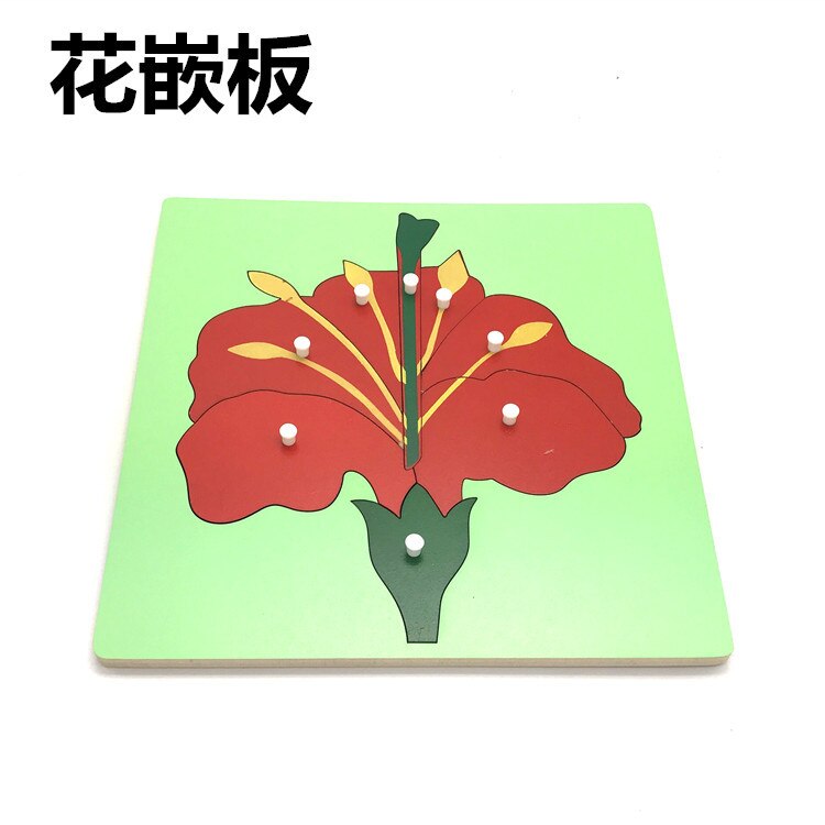 Wooden Toys Animal and Plant Panels Animal Puzzle Extension Nine Panels Mongolian Kindergarten Early Learning Toys for Children: FLOWER