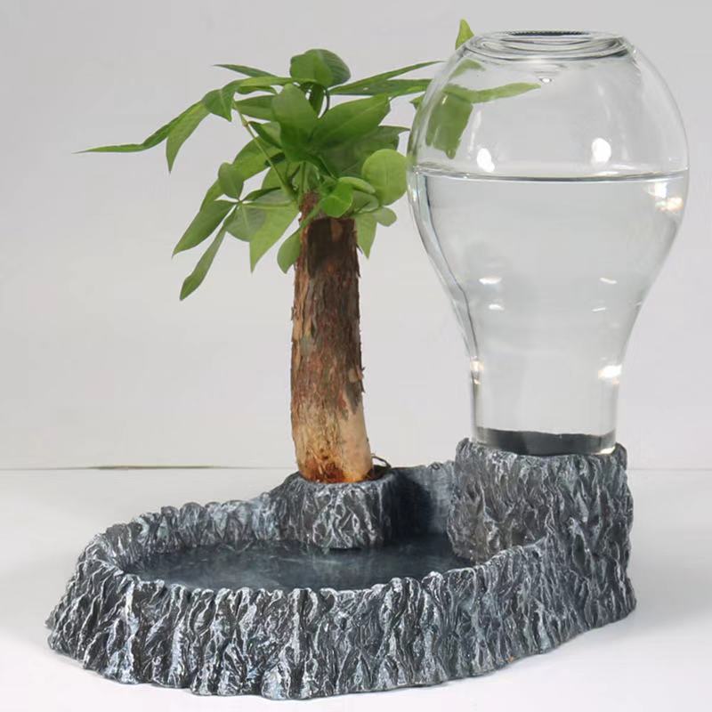 Climbing pet tortoise water basin turtle food basin reptile waterer tortoise bath tub drinking water basin tortoise lizard basin