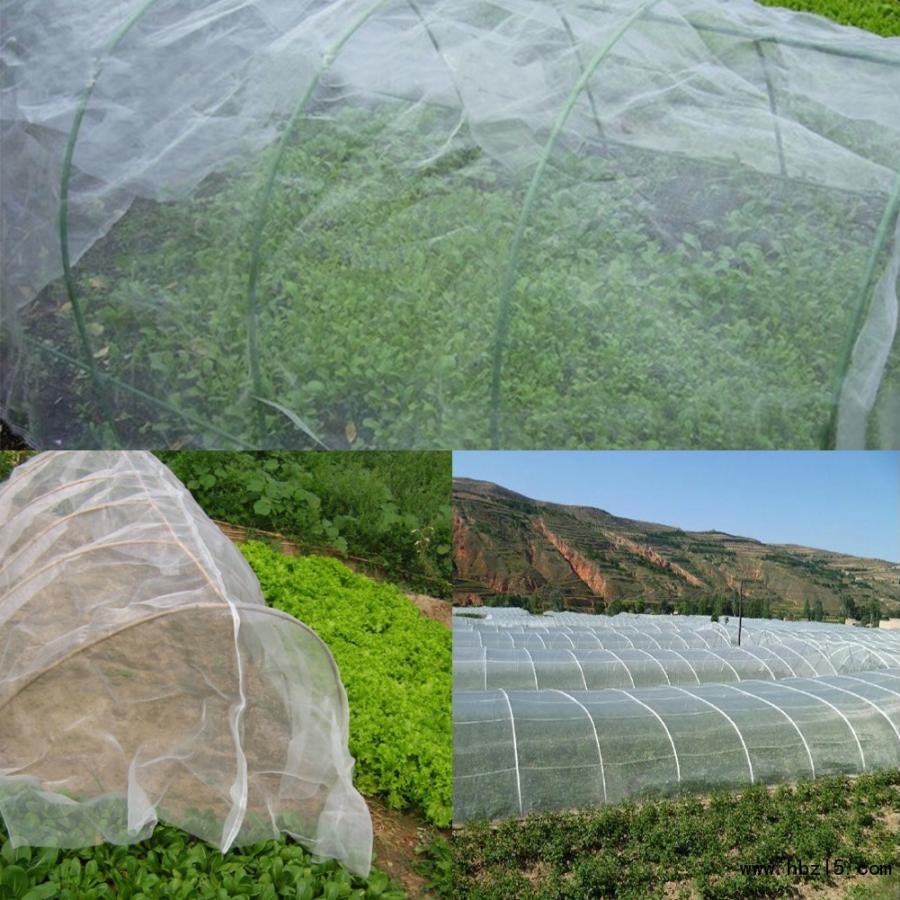 Garden Supplies Plastic Nylon Protective Net Bird Insect Netting Poultry Plant Garden Crop Fruit Greenhouse Plastic
