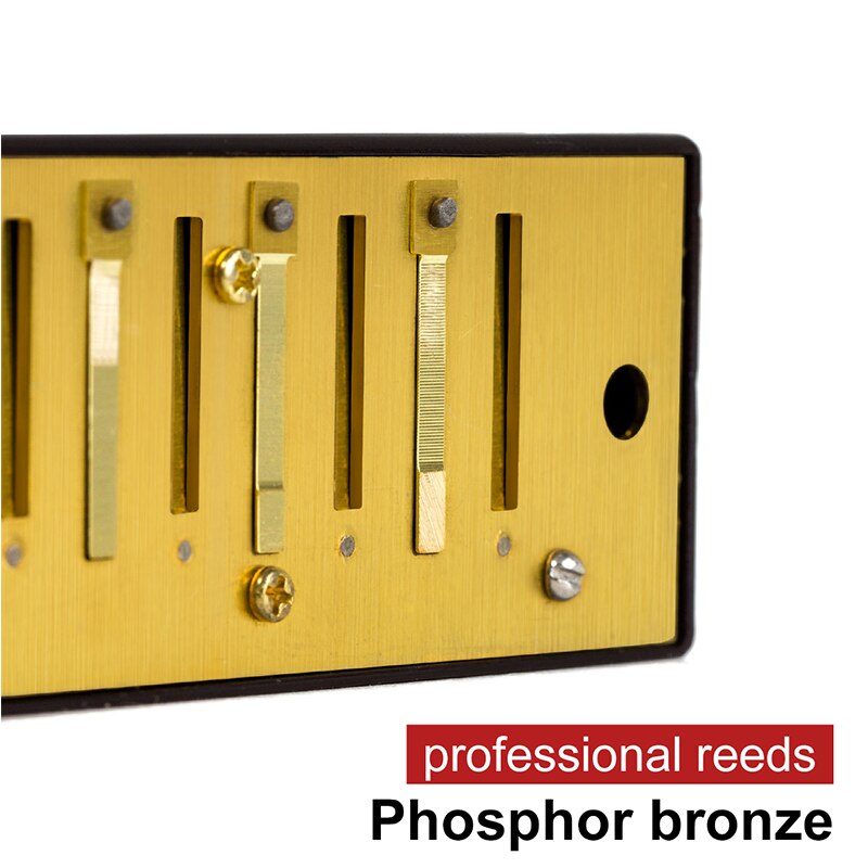 Tremolo Harmonica - 24 Holes - Phosphor Bronze Reeds - Key of C - French Harp