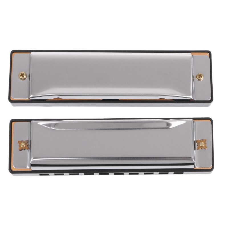 10 Holes Blues Harmonica Key of C Musical Instrument Stainless Steel Mouth Organ for Blues Rock Country Folk Jazz Melodica