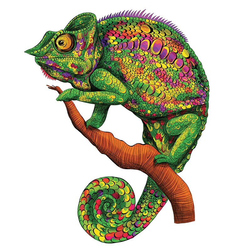 Puzzle caméléon 3D En Bois pour enfant et adulte, jeu de magie, Puzzle éducatif, du nouvel an