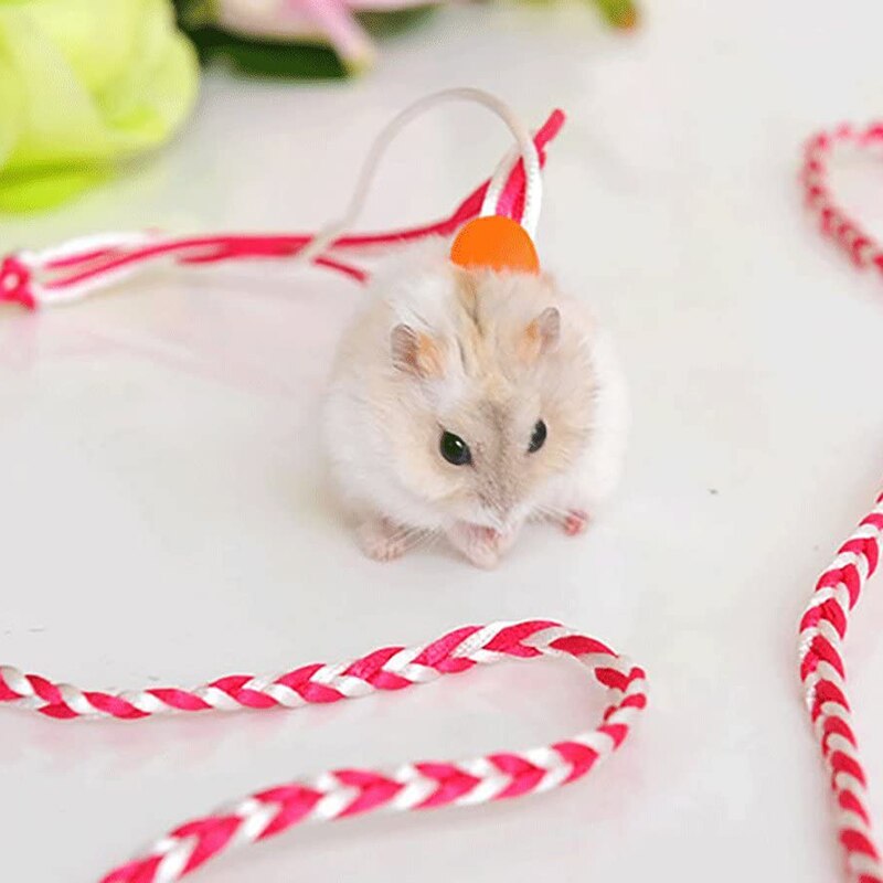 1.4m kjæledyr bånd hamster kanin tau bly krage justerbar sele tau håndlaget vevet rotte mus hamster kjæledyr bånd