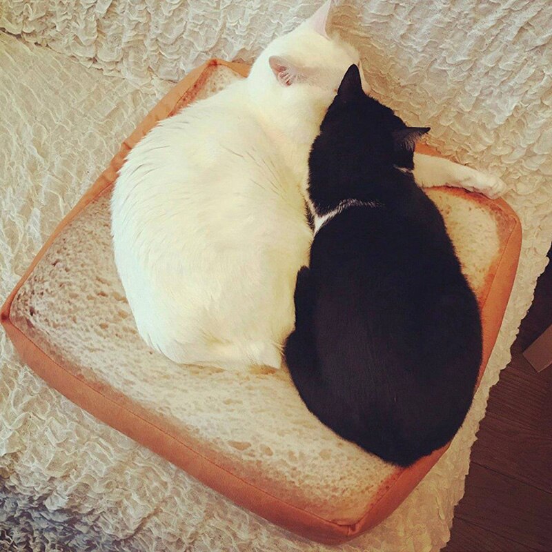 Matelas coussin doux et | , pain, chats, lit de pain grillé, tranche de pain, Style tapis pour animaux, matelas pour chats et chiens TE889