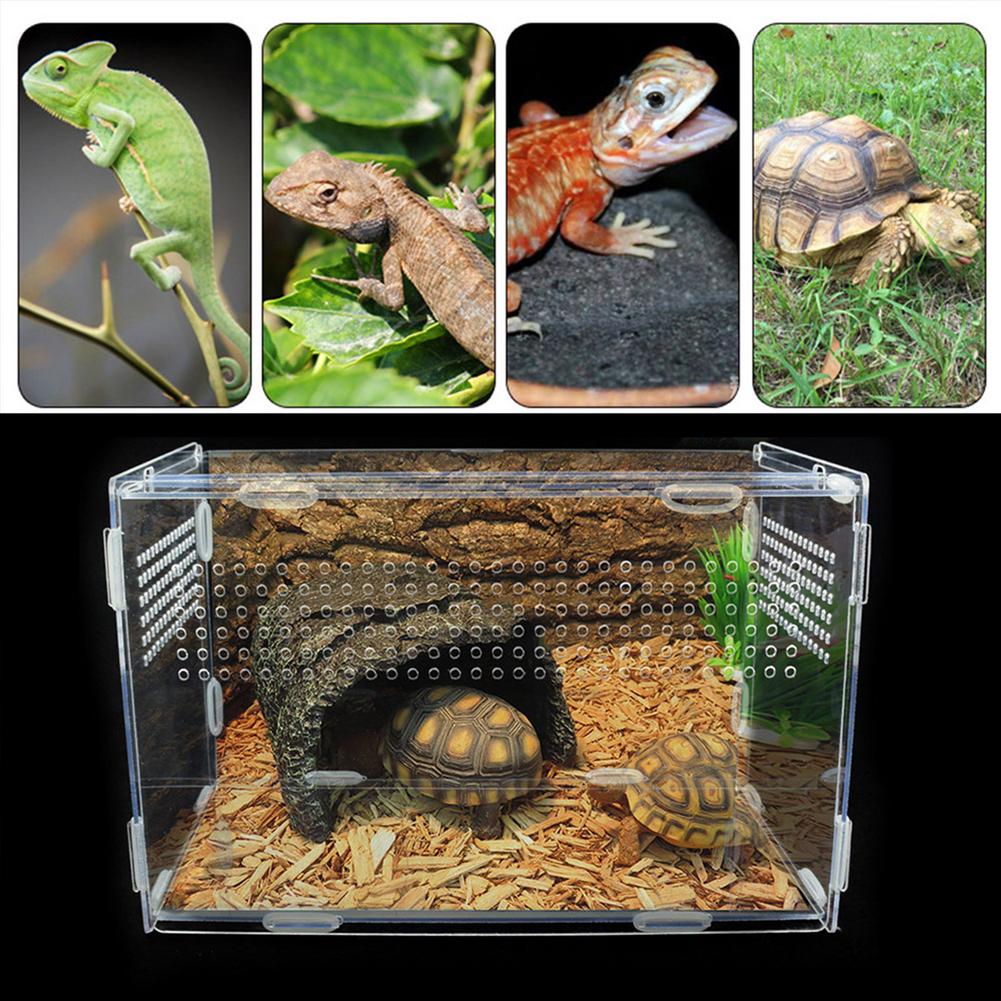 Reptile Breeding Box Transparent Acrylic Feeding Box Clamshell Opening For Spider Lizard Frog Cricket Turtle (No Landscaping)