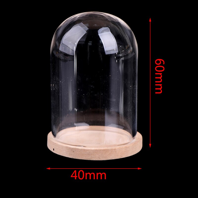 Vases de décoration en verre, présentoir de fleurs, Cloche, dôme, préservation immortelle + Base en bois, couvercle en verre de fleur éternelle: B