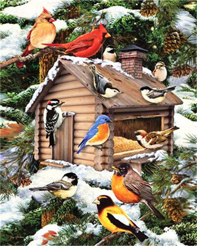 AZQSD Unframe peinture pour travaux manuels par numéros sur toile fleur Dewcor pour la maison peinture à l'huile par numéros ensemble oiseaux peint à la main