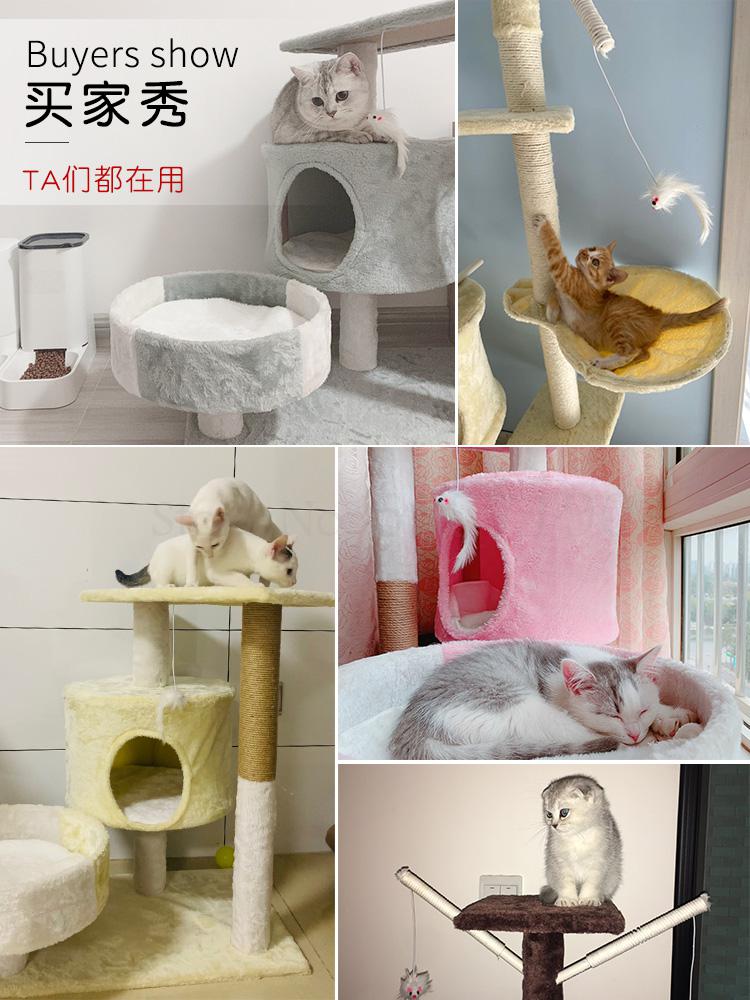Solid Wood Cat Nest with Suction Cup Climbing Frame