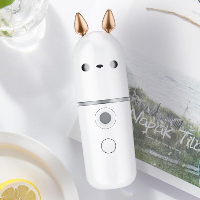 Mini Mist Sprayer Cute Nano Facial Sprayer Cool Mist Face Mister Portable Face Humidifier USB Facial Spray Steamers Skin Care