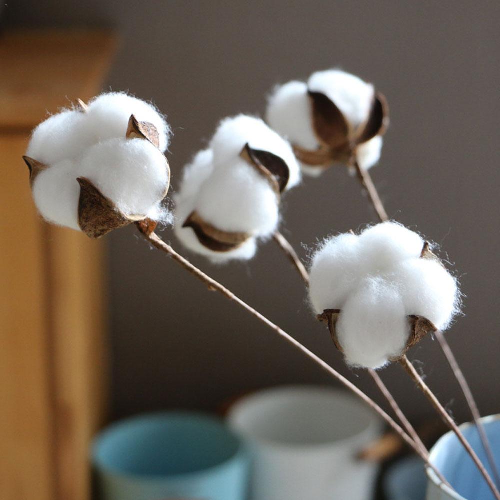 10Pcs Natuurlijk Gedroogd Katoen Bloem Kunstplanten Bloemen Korte Tak Voor Wedding Party Decoratie Nep Bloemen Home Decor