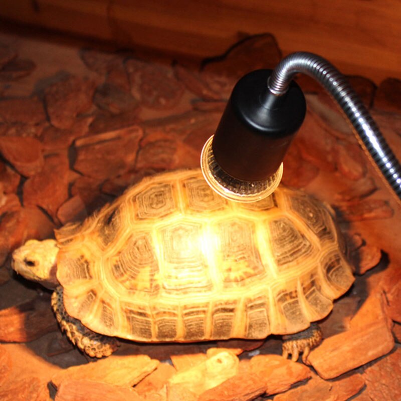 110V/220 lampa gadów lampa grzewcza dla zwierząt żarówka żółw wygrzewanie się żarówka UV lampa robić opalania lampa słoneczna regulator temperatury