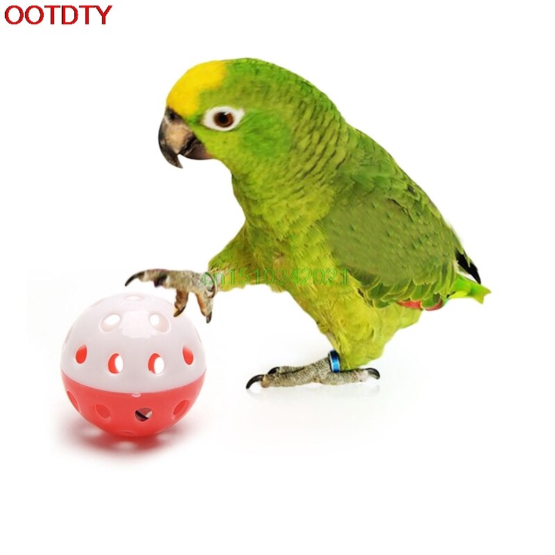 Juguete para loro, pájaro, Cascabel hueco, bolas para periquito o cacatúa Ninfa, mordedor, jaula divertida, Juguetes