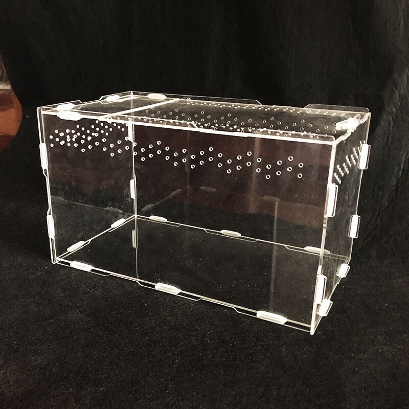 Reptile Tank Insect Spiders Tortoise Lizard Acrylic Transparent Breeding Box Vivarium Lid Reptile Pet Product Terrarium S/L Size